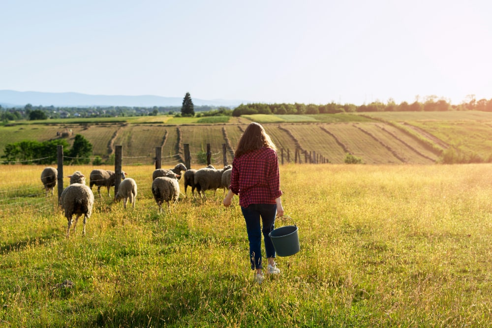 Преимущества гидроизоляции полимочевиной объектов сельского хозяйства